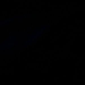 Meet your Posher, Hayden